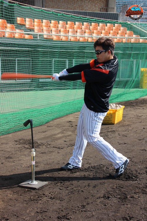 손아섭 선수의 티배팅